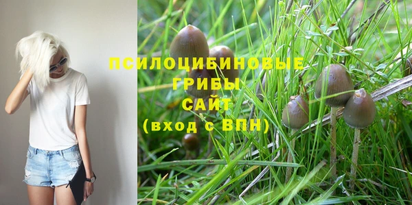 2c-b Абинск