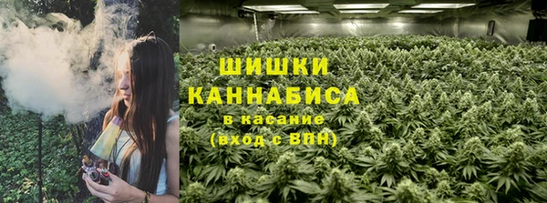 прущая мука Абаза
