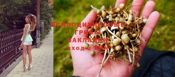 прущая мука Абаза