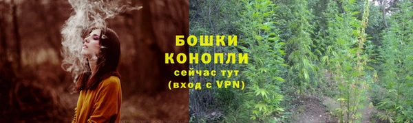 2c-b Абинск